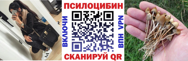 Псилоцибиновые грибы прущие грибы магазин продажи Черноголовка